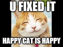 Happy Cat is Happy | U FIXED IT HAPPY CAT IS HAPPY | image tagged in happy cat is happy | made w/ Imgflip meme maker
