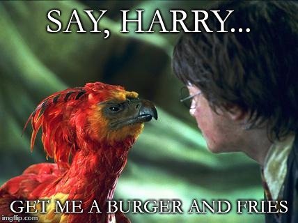 Phoenix Harry potter | SAY, HARRY... GET ME A BURGER AND FRIES | image tagged in phoenix harry potter | made w/ Imgflip meme maker