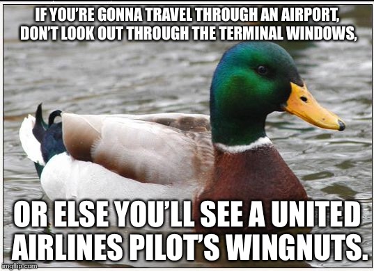 United Airlines pilot showing deez nuts | IF YOU’RE GONNA TRAVEL THROUGH AN AIRPORT, DON’T LOOK OUT THROUGH THE TERMINAL WINDOWS, OR ELSE YOU’LL SEE A UNITED AIRLINES PILOT’S WINGNUTS. | image tagged in memes,actual advice mallard,united airlines,naked,airplane,nuts | made w/ Imgflip meme maker