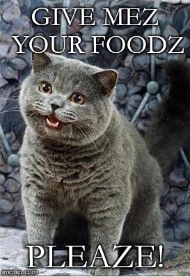 I can has cheezburger cat | GIVE MEZ YOUR FOODZ; PLEAZE! | image tagged in i can has cheezburger cat | made w/ Imgflip meme maker