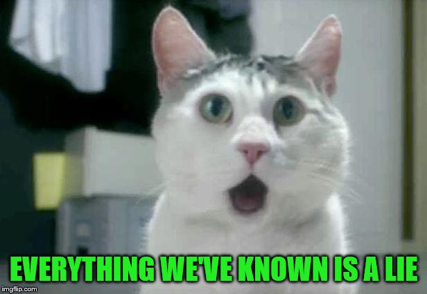 OMG Cat Meme | EVERYTHING WE'VE KNOWN IS A LIE | image tagged in memes,omg cat | made w/ Imgflip meme maker