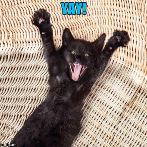 Happy cat  | YAY! | image tagged in happy cat | made w/ Imgflip meme maker