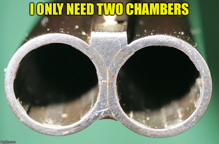 I ONLY NEED TWO CHAMBERS | made w/ Imgflip meme maker