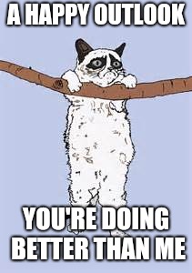 Hang in there grumpy cat | A HAPPY OUTLOOK YOU'RE DOING BETTER THAN ME | image tagged in hang in there grumpy cat | made w/ Imgflip meme maker