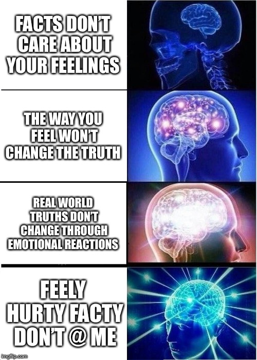 Expanding Brain Meme | FACTS DON’T CARE ABOUT YOUR FEELINGS; THE WAY YOU FEEL WON’T CHANGE THE TRUTH; REAL WORLD TRUTHS DON’T CHANGE THROUGH EMOTIONAL REACTIONS; FEELY HURTY FACTY DON’T @ ME | image tagged in memes,expanding brain | made w/ Imgflip meme maker