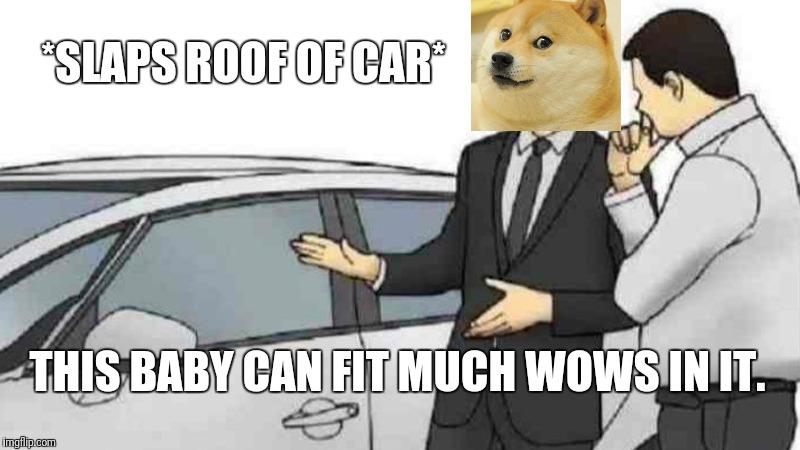 Car Salesman Slaps Roof Of Car | *SLAPS ROOF OF CAR*; THIS BABY CAN FIT MUCH WOWS IN IT. | image tagged in memes,car salesman slaps roof of car | made w/ Imgflip meme maker