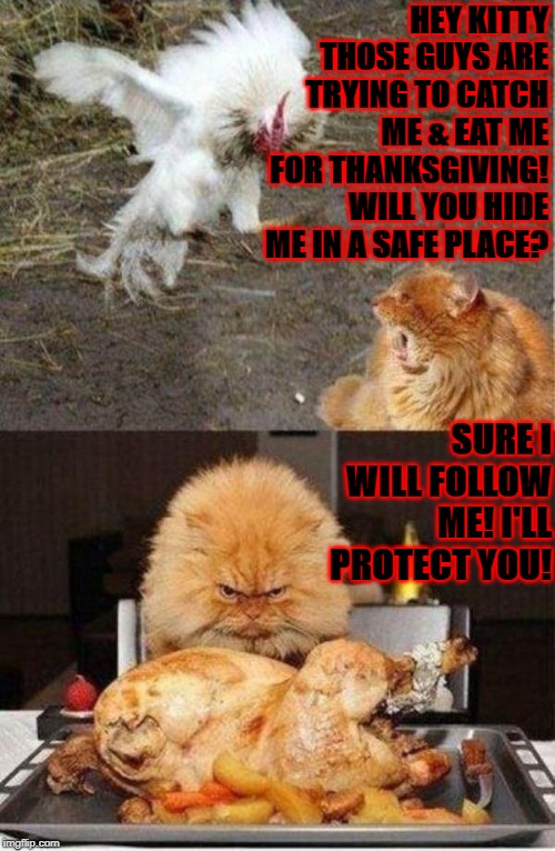 HEY KITTY THOSE GUYS ARE TRYING TO CATCH ME & EAT ME FOR THANKSGIVING! WILL YOU HIDE ME IN A SAFE PLACE? SURE I WILL FOLLOW ME! I'LL PROTECT YOU! | image tagged in time to die | made w/ Imgflip meme maker