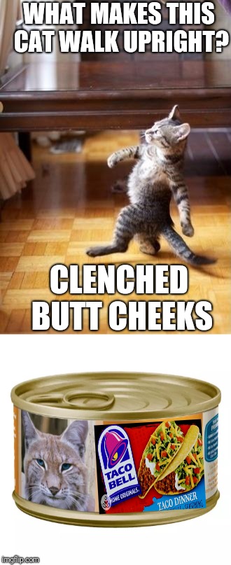Now With Your Choice of Sauces: Mild, Hot, Fire, Diablo and Salsa Verde.   | WHAT MAKES THIS CAT WALK UPRIGHT? CLENCHED BUTT CHEEKS | image tagged in memes,cool cat stroll,taco bell | made w/ Imgflip meme maker