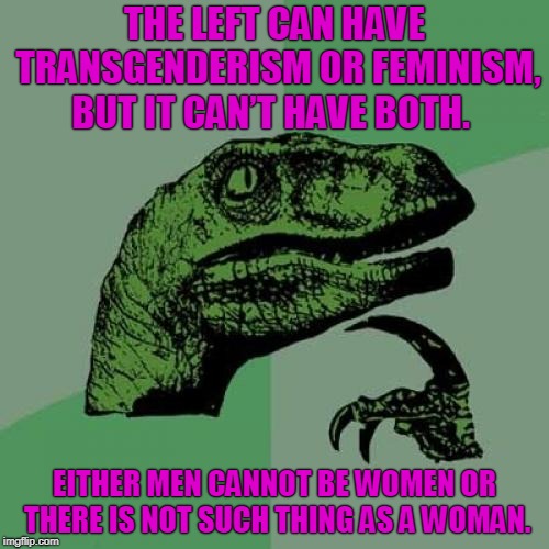 Philosoraptor Meme | THE LEFT CAN HAVE TRANSGENDERISM OR FEMINISM, BUT IT CAN’T HAVE BOTH. EITHER MEN CANNOT BE WOMEN OR THERE IS NOT SUCH THING AS A WOMAN. | image tagged in memes,philosoraptor | made w/ Imgflip meme maker