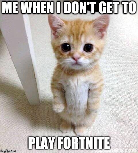 cute cat meme me when i don t get to play fortnite image - fortnite cat pet