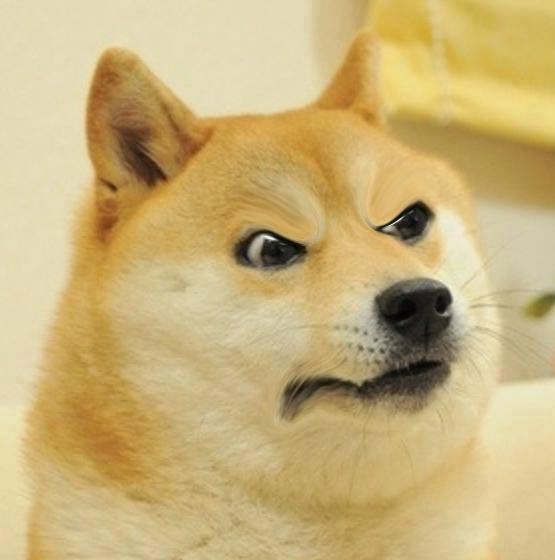 Confused Angery Doge Blank Meme Template