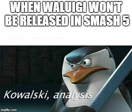 kowalski, analysis | WHEN WALUIGI WON'T BE RELEASED IN SMASH 5 | image tagged in kowalski analysis | made w/ Imgflip meme maker