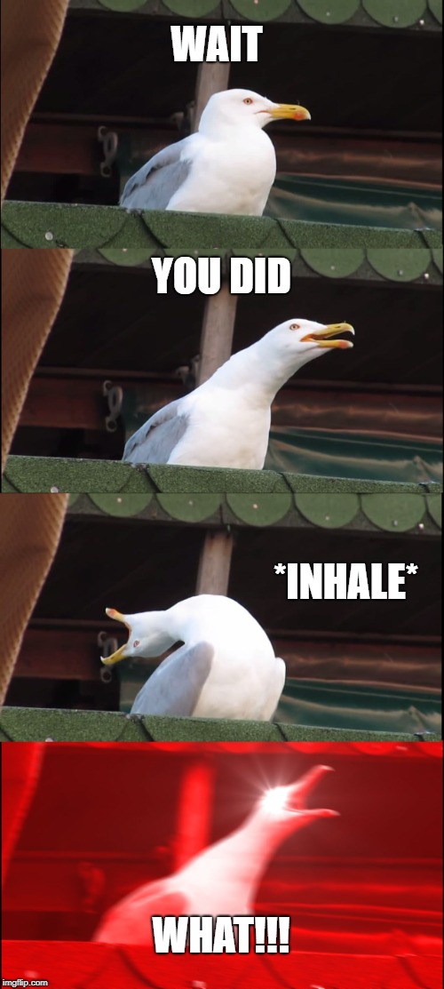 Inhaling Seagull Meme | WAIT YOU DID *INHALE* WHAT!!! | image tagged in memes,inhaling seagull | made w/ Imgflip meme maker