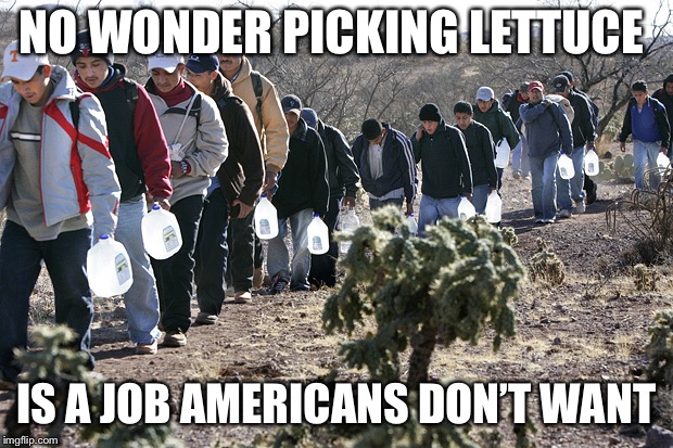 mexican immigration | NO WONDER PICKING LETTUCE IS A JOB AMERICANS DON’T WANT | image tagged in mexican immigration | made w/ Imgflip meme maker