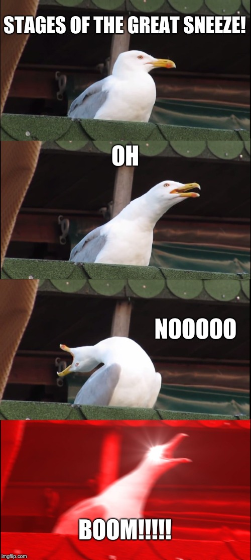 Inhaling Seagull Meme | STAGES OF THE GREAT SNEEZE! OH; NOOOOO; BOOM!!!!! | image tagged in memes,inhaling seagull | made w/ Imgflip meme maker