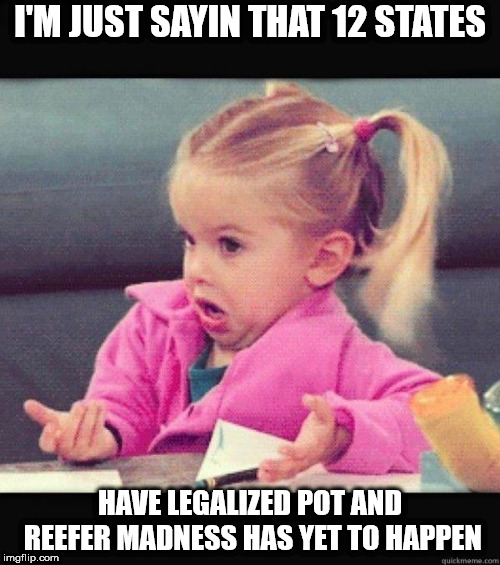 I dont know girl |  I'M JUST SAYIN THAT 12 STATES; HAVE LEGALIZED POT AND REEFER MADNESS HAS YET TO HAPPEN | image tagged in i dont know girl | made w/ Imgflip meme maker