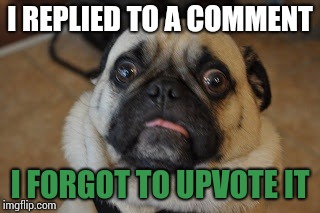 Hopefully he didnt see it |  I REPLIED TO A COMMENT; I FORGOT TO UPVOTE IT | image tagged in pug worried,comments,reply,upvote | made w/ Imgflip meme maker