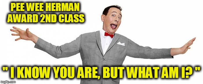 I know you are | PEE WEE HERMAN AWARD 2ND CLASS " I KNOW YOU ARE, BUT WHAT AM I? " | image tagged in i know you are | made w/ Imgflip meme maker