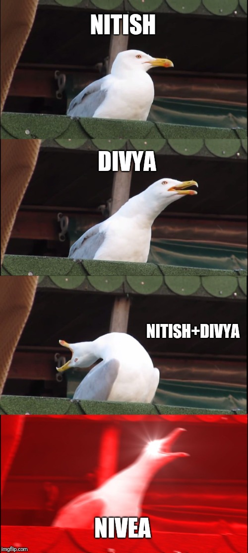 Inhaling Seagull Meme | NITISH; DIVYA; NITISH+DIVYA; NIVEA | image tagged in memes,inhaling seagull | made w/ Imgflip meme maker