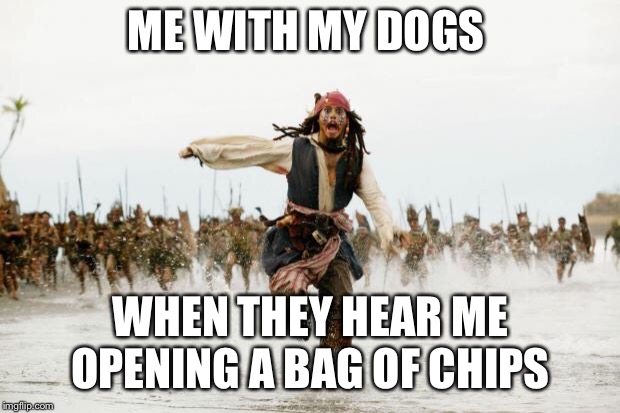 Every. Damn. Time. | ME WITH MY DOGS; WHEN THEY HEAR ME OPENING A BAG OF CHIPS | image tagged in jack sparrow being chased,jack sparrow | made w/ Imgflip meme maker