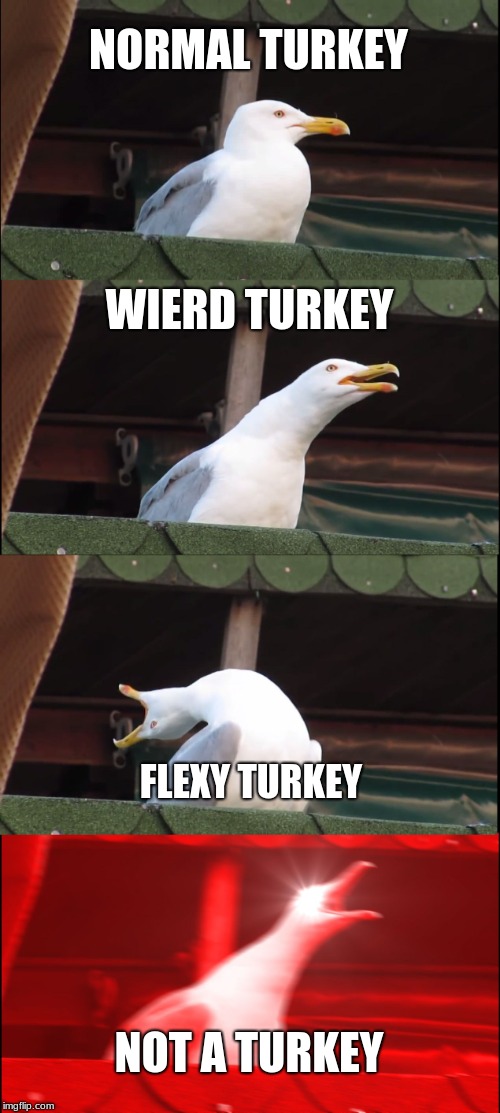 let's eat it | NORMAL TURKEY; WIERD TURKEY; FLEXY TURKEY; NOT A TURKEY | image tagged in memes,inhaling seagull,turkey,wierd,thanksgiving | made w/ Imgflip meme maker