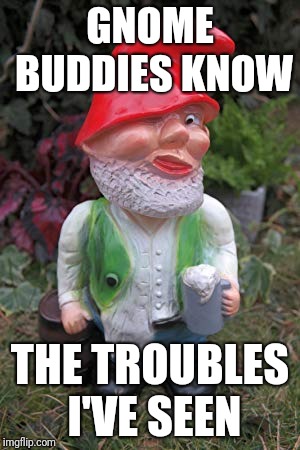 GNOME BUDDIES KNOW THE TROUBLES I'VE SEEN | made w/ Imgflip meme maker