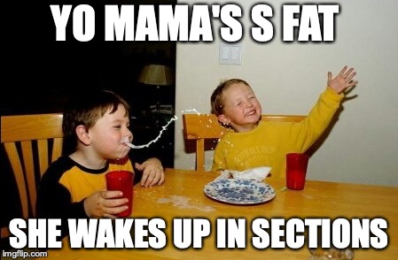 Yo Mamas So Fat Meme | YO MAMA'S S FAT; SHE WAKES UP IN SECTIONS | image tagged in memes,yo mamas so fat | made w/ Imgflip meme maker