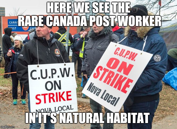 Lazy Canada post | HERE WE SEE THE RARE CANADA POST WORKER; IN IT'S NATURAL HABITAT | image tagged in losers,first world problems | made w/ Imgflip meme maker