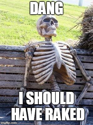 Waiting Skeleton Meme | DANG; I SHOULD HAVE RAKED | image tagged in memes,waiting skeleton | made w/ Imgflip meme maker