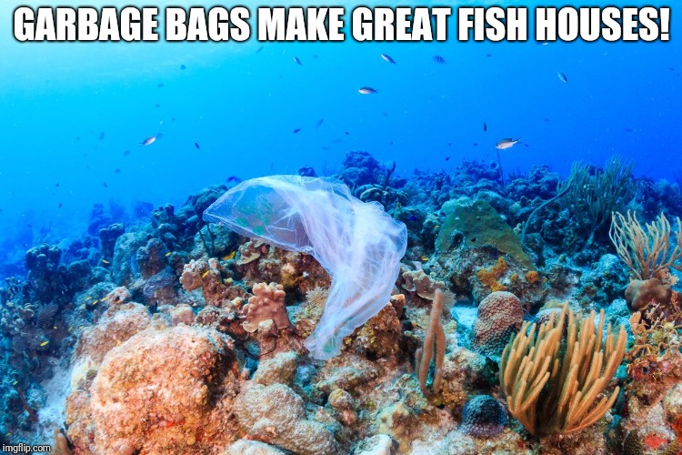Save the earth | GARBAGE BAGS MAKE GREAT FISH HOUSES! | image tagged in save the earth | made w/ Imgflip meme maker
