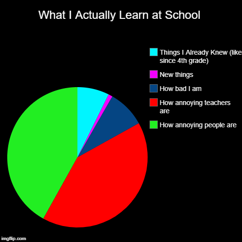 What I Actually Learn at School | How annoying people are, How annoying teachers are, How bad I am , New things, Things I Already Knew (like | image tagged in funny,pie charts | made w/ Imgflip chart maker