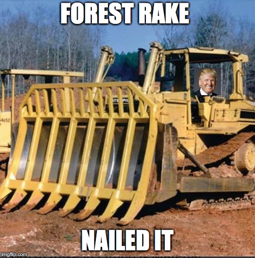 FOREST RAKE; NAILED IT | made w/ Imgflip meme maker