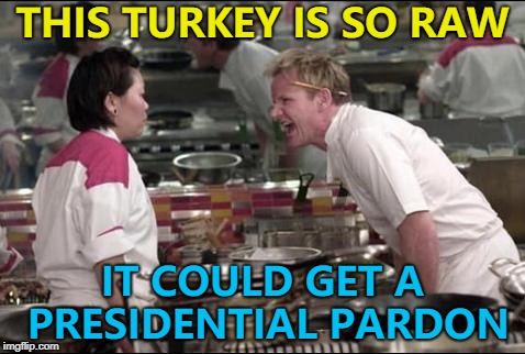 Somebody call a vet... :) | THIS TURKEY IS SO RAW; IT COULD GET A PRESIDENTIAL PARDON | image tagged in memes,angry chef gordon ramsay,thanksgiving,turkey,presidential pardon | made w/ Imgflip meme maker