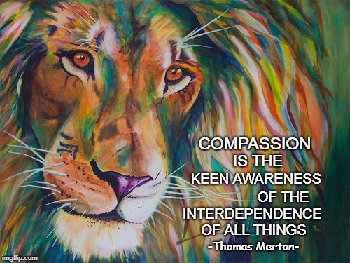 COMPASSION; IS THE; KEEN AWARENESS; OF THE; INTERDEPENDENCE; OF ALL THINGS; -Thomas Merton- | image tagged in compassion awareness interdependence life creation kindness | made w/ Imgflip meme maker