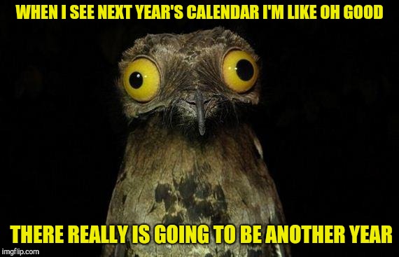 Weird Stuff I Do Potoo | WHEN I SEE NEXT YEAR'S CALENDAR I'M LIKE OH GOOD; THERE REALLY IS GOING TO BE ANOTHER YEAR | image tagged in memes,weird stuff i do potoo | made w/ Imgflip meme maker