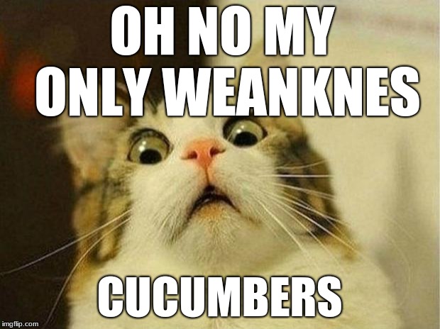Scared Cat | OH NO MY ONLY WEANKNES; CUCUMBERS | image tagged in memes,scared cat | made w/ Imgflip meme maker