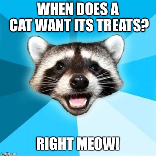 Lame Pun Coon Meme | WHEN DOES A CAT WANT ITS TREATS? RIGHT MEOW! | image tagged in memes,lame pun coon | made w/ Imgflip meme maker