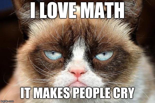 Grumpy Cat Not Amused Meme | I LOVE MATH; IT MAKES PEOPLE CRY | image tagged in memes,grumpy cat not amused,grumpy cat | made w/ Imgflip meme maker