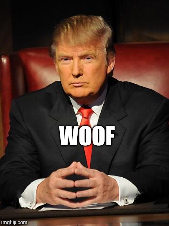 I Used To Love Dogs. | WOOF | image tagged in serious trump,donald trump the clown,memes,meme,dump trump,asshole | made w/ Imgflip meme maker