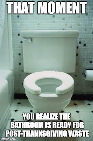 toilet | THAT MOMENT; YOU REALIZE THE BATHROOM IS READY FOR POST-THANKSGIVING WASTE | image tagged in toilet | made w/ Imgflip meme maker