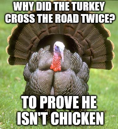 Turkey Meme | WHY DID THE TURKEY CROSS THE ROAD TWICE? TO PROVE HE ISN'T CHICKEN | image tagged in memes,turkey | made w/ Imgflip meme maker