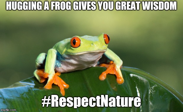 Hug the Frog | HUGGING A FROG GIVES YOU GREAT WISDOM; #RespectNature | image tagged in frog,wisdomofthejungle | made w/ Imgflip meme maker