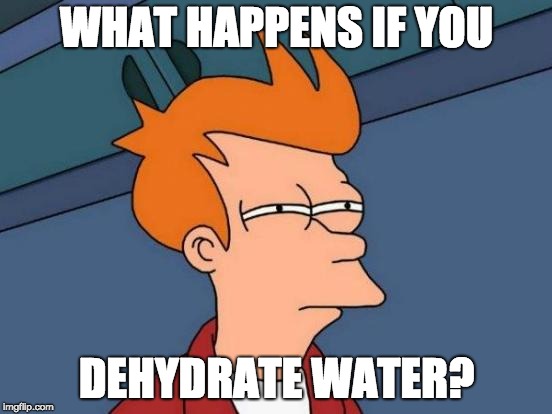 Futurama Fry Meme | WHAT HAPPENS IF YOU; DEHYDRATE WATER? | image tagged in memes,futurama fry | made w/ Imgflip meme maker