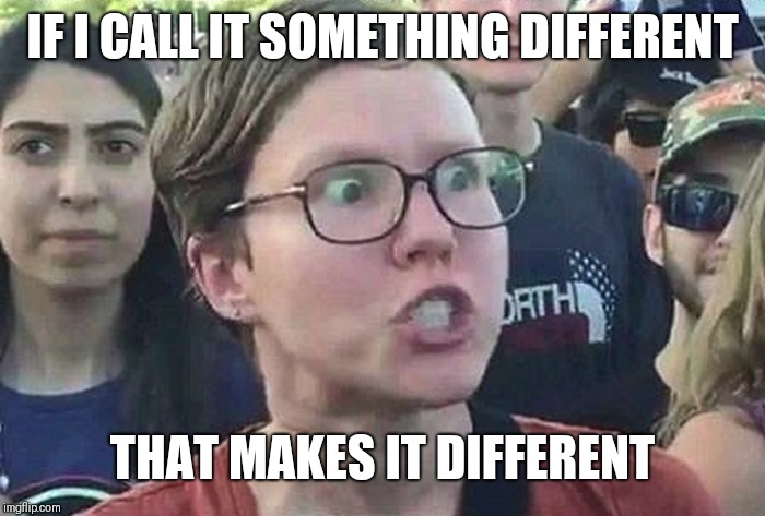 Triggered Liberal | IF I CALL IT SOMETHING DIFFERENT THAT MAKES IT DIFFERENT | image tagged in triggered liberal | made w/ Imgflip meme maker