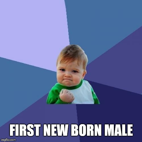 Success Kid Meme | FIRST NEW BORN MALE | image tagged in memes,success kid | made w/ Imgflip meme maker