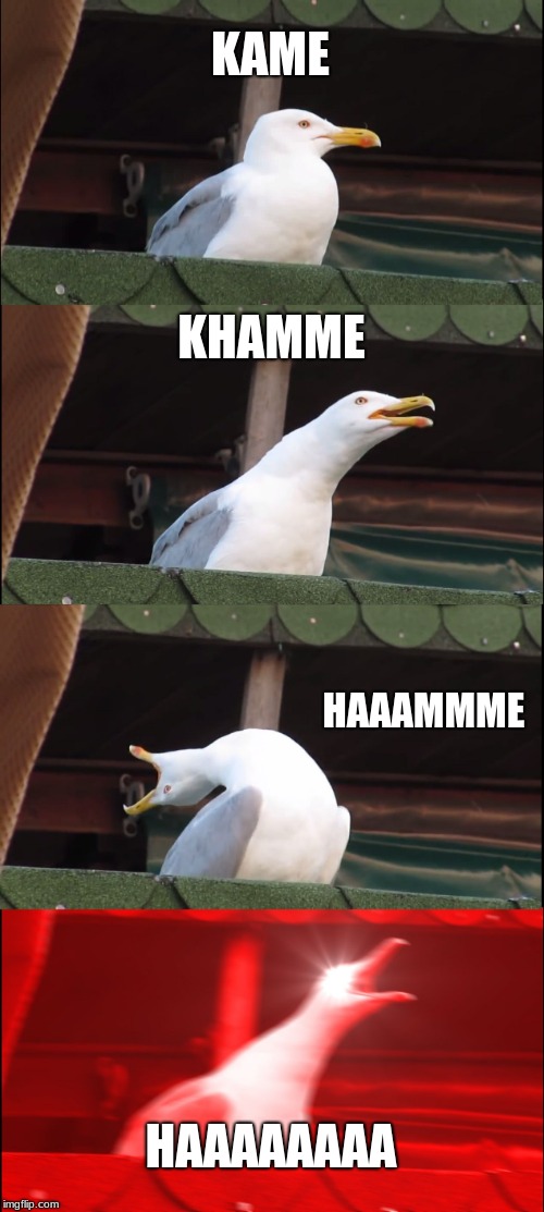 Inhaling Seagull | KAME; KHAMME; HAAAMMME; HAAAAAAAA | image tagged in memes,inhaling seagull | made w/ Imgflip meme maker