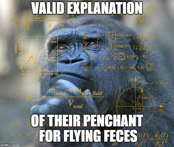 Thinking Math Ape | VALID EXPLANATION OF THEIR PENCHANT FOR FLYING FECES | image tagged in thinking math ape | made w/ Imgflip meme maker