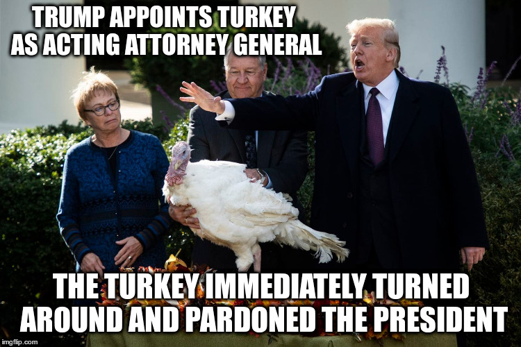 Is that even legal??? | TRUMP APPOINTS TURKEY AS ACTING ATTORNEY GENERAL; THE TURKEY IMMEDIATELY TURNED AROUND AND PARDONED THE PRESIDENT | image tagged in trump,humor,turkey,attorney general,mueller investigation,whitaker | made w/ Imgflip meme maker