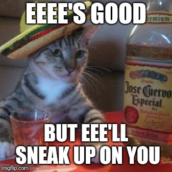 EEEE'S GOOD BUT EEE'LL SNEAK UP ON YOU | made w/ Imgflip meme maker