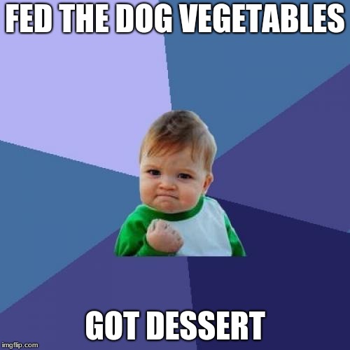 Success Kid | FED THE DOG VEGETABLES; GOT DESSERT | image tagged in memes,success kid | made w/ Imgflip meme maker